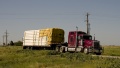Bilder_USA_2009 112.jpg
